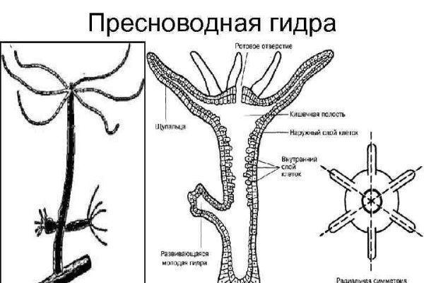 Актуальные ссылки bs blacksprut adress com